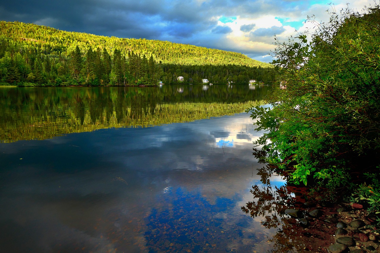 Understanding the Intrinsic Value of Biodiversity